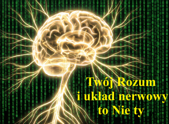 Twój Mózg i Układ Nerwowy to Nie Ty!!!