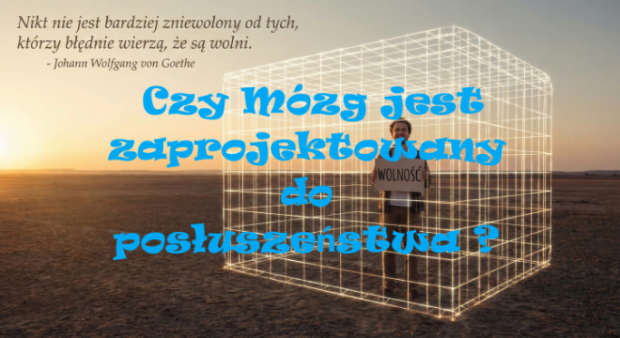 Czy Twój Mózg jest zaprojektowany do posłuszeństwa?